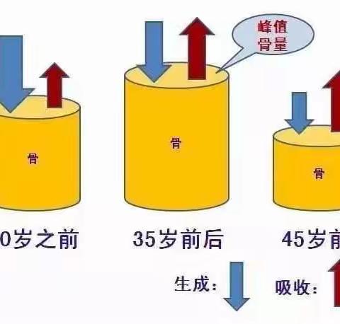 马关县妇幼保健院已投入使用超声波骨密度分析仪，为0~99岁人群的骨骼体质带来更全面的监测