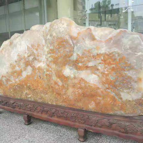西北大学博物馆历史馆