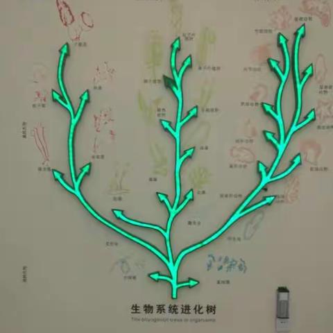 西大博物馆——生物馆