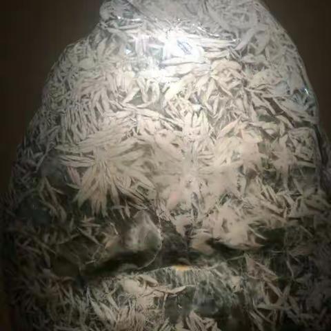 西大博物馆，地质馆