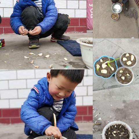 特殊时期，特殊教育         ——路罗中心幼儿园中一班活动掠影