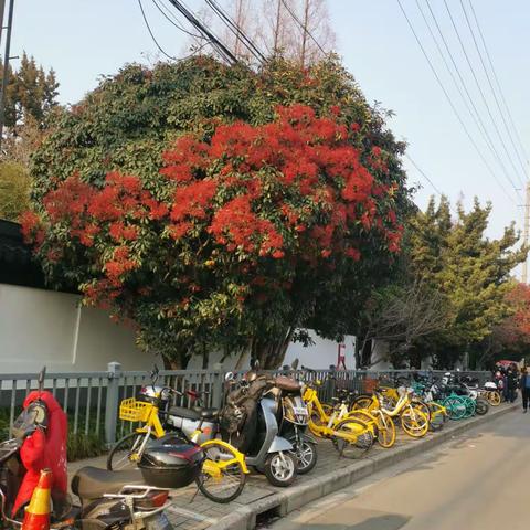 吴工的美篇