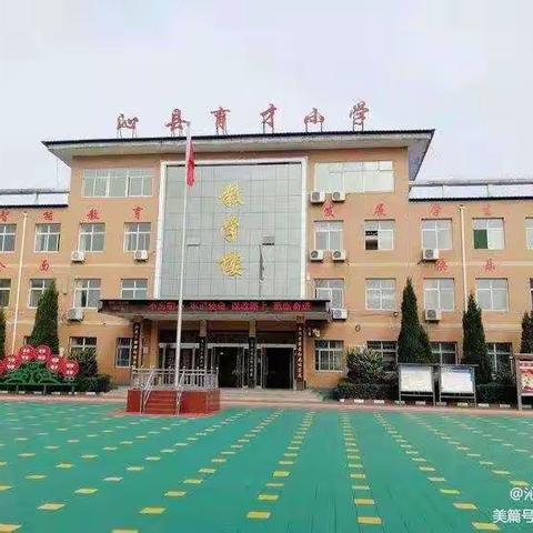 沁县育才小学       预防溺水致家长的一封信