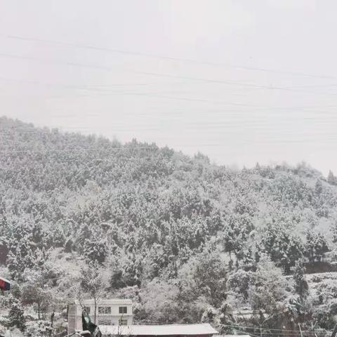 初雪