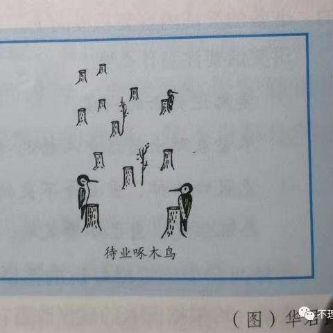 五年级语文下册第八单元习作漫画的启示《待业啄木鸟》随笔