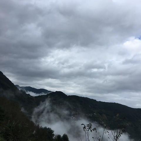 静心教书，潜心育人