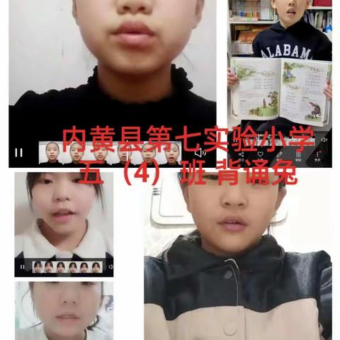 “语”你同行，“兔”飞猛进——内黄县第七实验小学五年级语文寒假实践作业