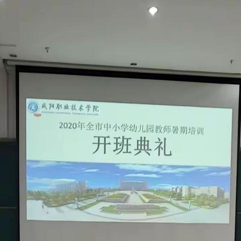 【刘沙】2020咸阳市中小学幼儿园教师暑期培训