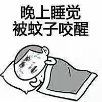 论“某音、某手等短视频与某条的危害”的危害