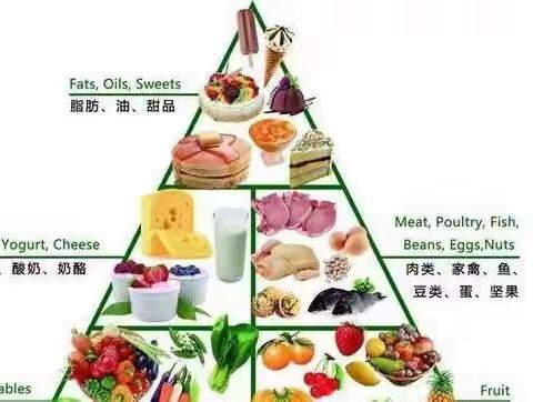 营养-医学基础知识(3) 食物的消化和吸收