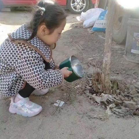 相逢植树节，爱在春风里——善南幼儿园植树节活动