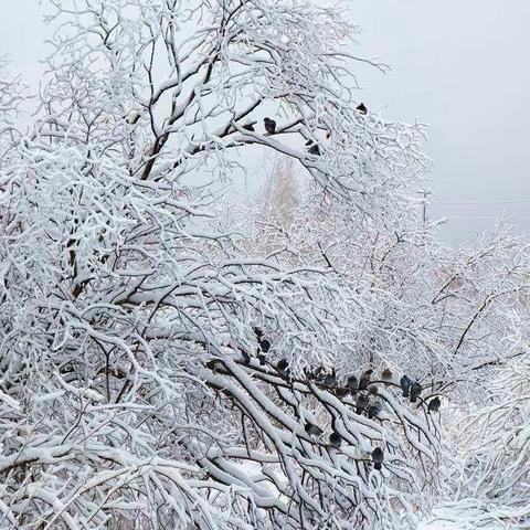 天使守护中四班一日常规流程