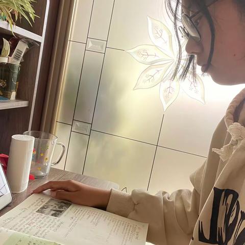 杨博涵的网课生活