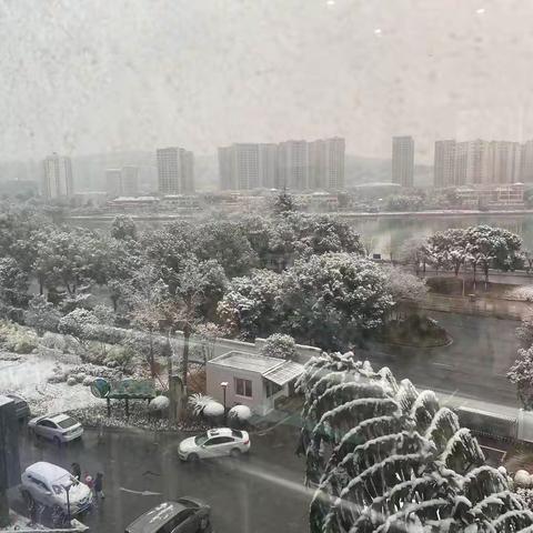 难忘的雪天