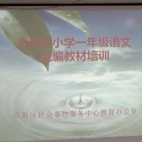 提升教师专业素养 提高课堂教学质量一一高新区举办小学语文统编教材培训