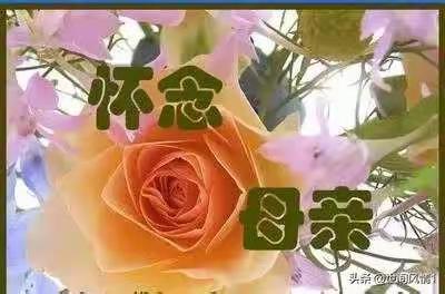 怀念母亲