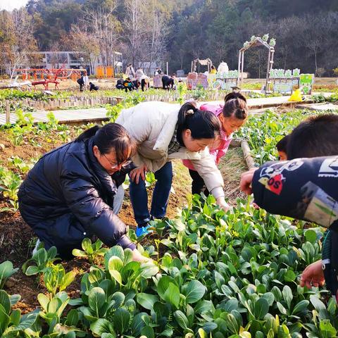 我在余东有块地！