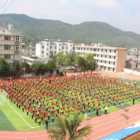 球场赤子心，追梦少年人一一高桥小学第五届夏季小篮球.乒乓球联赛