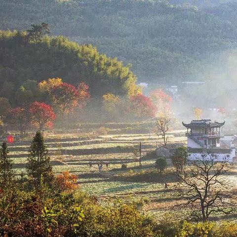 【徐迅】 皖南山村金秋行