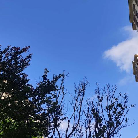 第668篇~放慢不是躺平