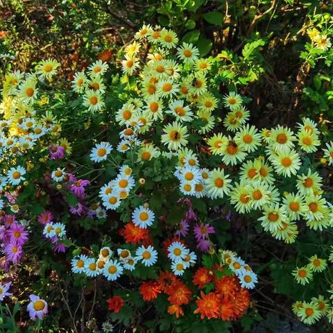 百舸争流，百花齐放—记中山实验学校地理优质课初赛