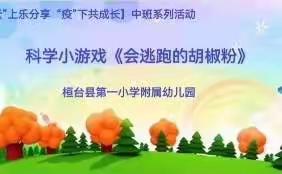 【“云”上乐分享 “疫”下共成长】科学小游戏《会逃跑的胡椒粉》