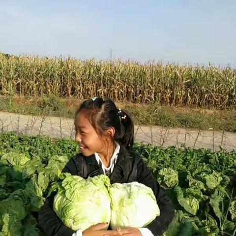 感恩行动大回放