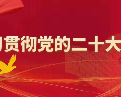 金溪县残联党支部书记、理事长蔡春芬深入帮扶村宣讲党的二十大精神