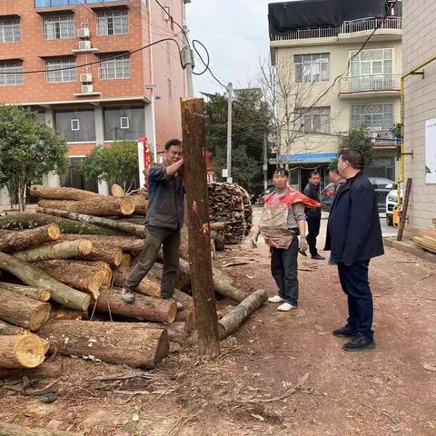 萍乡市林业局安源分局开展林业植物检疫执法行动