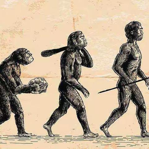 视频分享《假期博物馆》之中国通史第1季——文明起源·史前篇1-7集