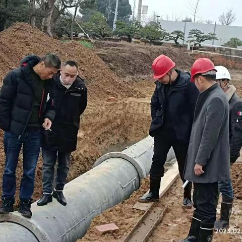 金东区曹宅镇朝皇路工程