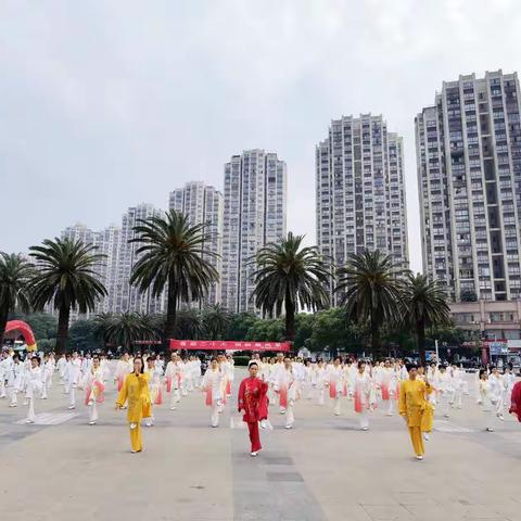 "喜迎二十大，银龄展风采"，新余市太极拳协会太极展演活动