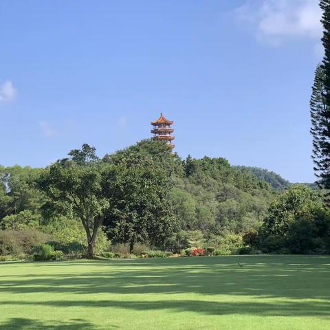 重阳节：一切都是最好的安排