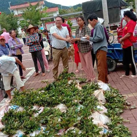 什坡工作队扶持山柚苗助力群众发展果园经济