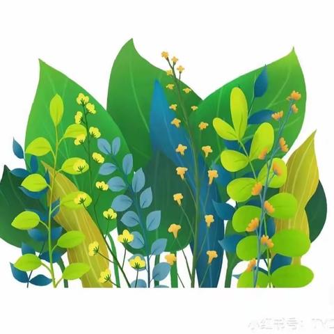 “豆”趣无穷 其乐融融—小四班🌿