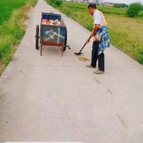 开展环境卫生整治，建设美丽乡村