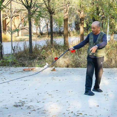 林中铁鞭啪啪响