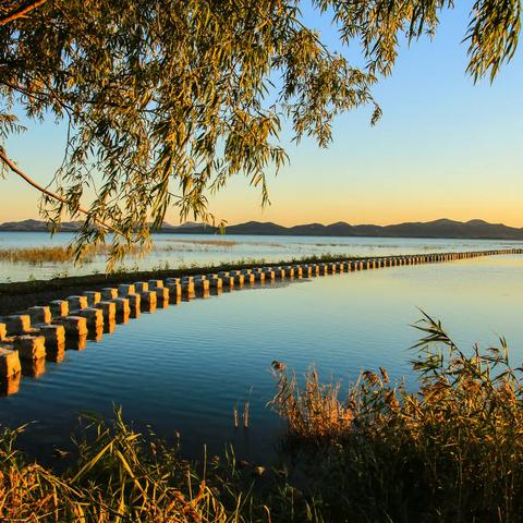 水岸秀丽景色美