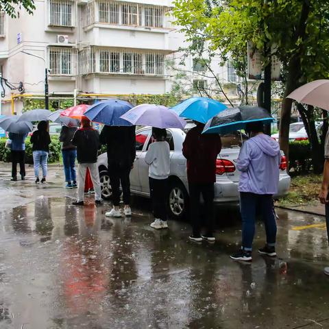 雨中大筛