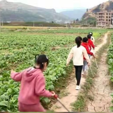 长江村小学四1班全体同学参加学农社会实践活动典型案例