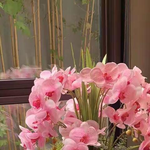 长相忆
