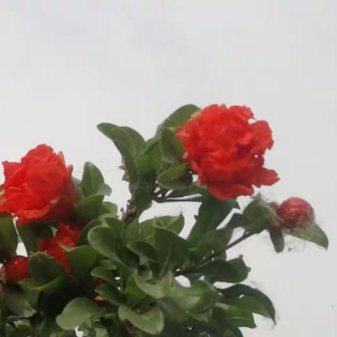 闲瑕时光