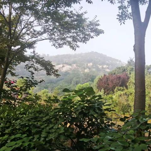 小村吴窑