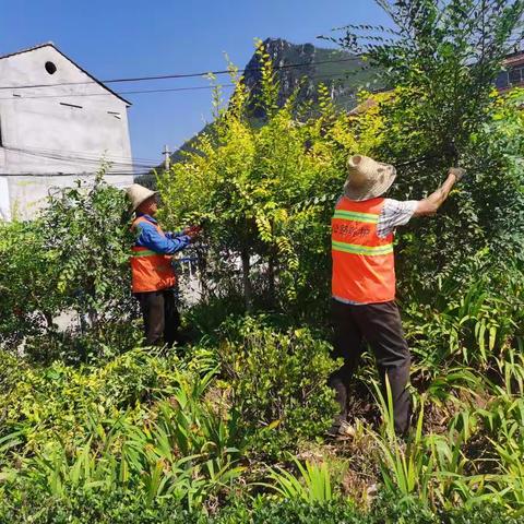 涉县公路站将生态和景观完美结合