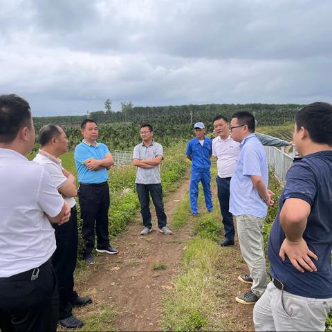 李学主任赴灌区现场调研水毁修复工作