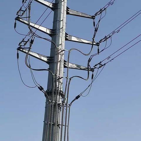 团队