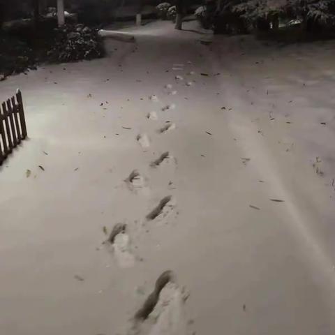 闻雪而动 清扫积雪暖人心（副本）