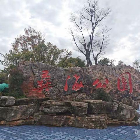 新年第一天的彝海公园一角