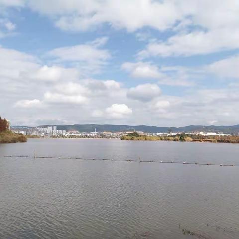 新年第二天的彝海公园一角