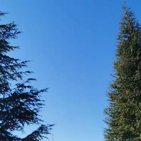 季冬的查姆湖一角